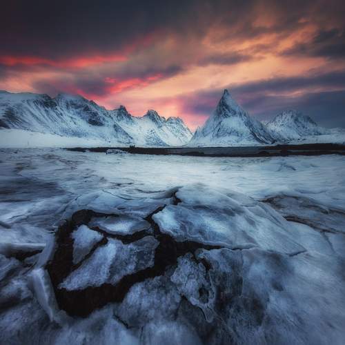 Photo #10415947