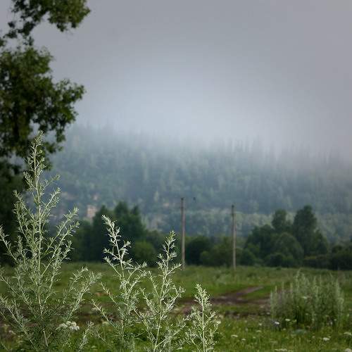Photo #10416016