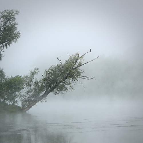 Photo #10416022