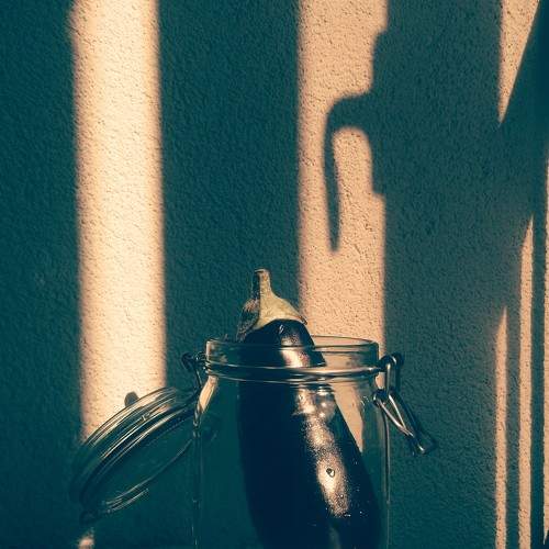 Photo #10416035