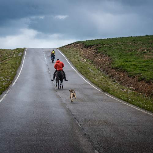 Photo #10416200