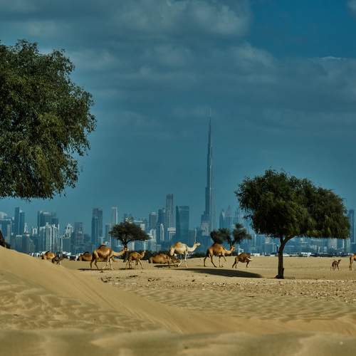 The sustainable city