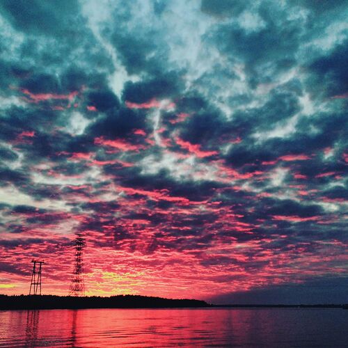 Photo #10416335