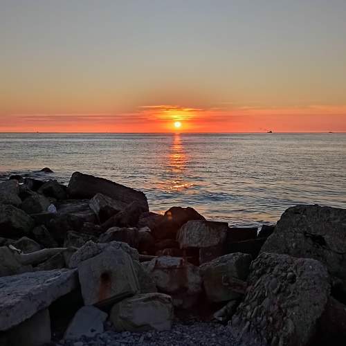 Photo #10416666