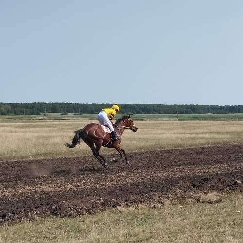 Photo #10417145