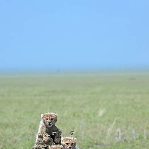 Фотография #10417165