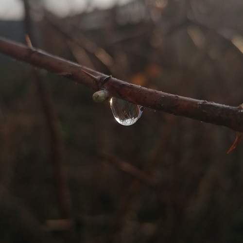 Photo #10417286