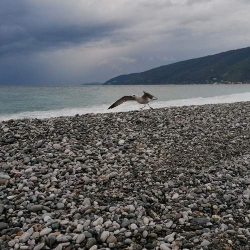 Photo #10417373