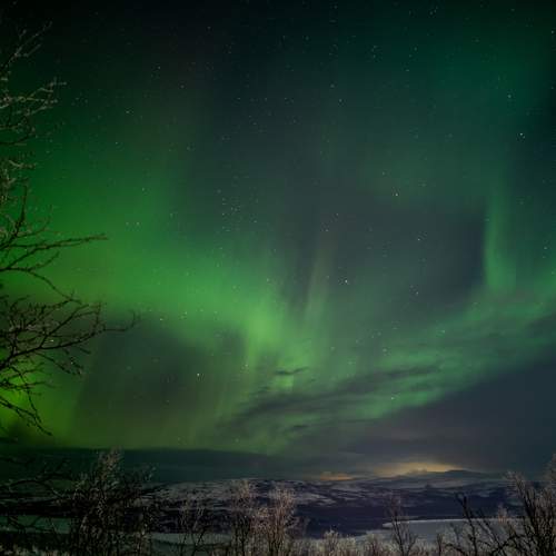 Photo #10417467
