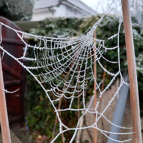 Photo #10417485
