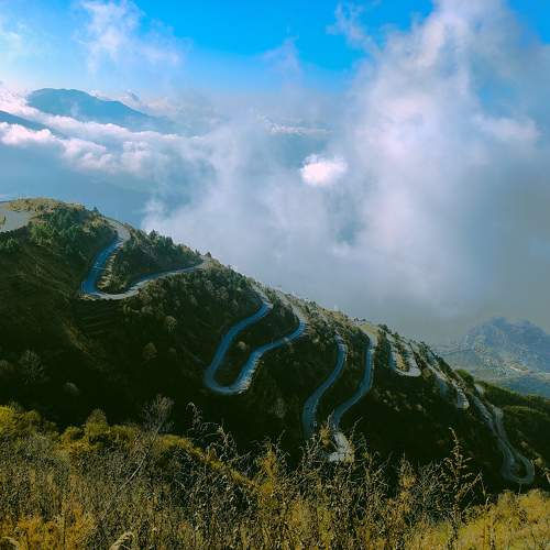 Photo #10417745