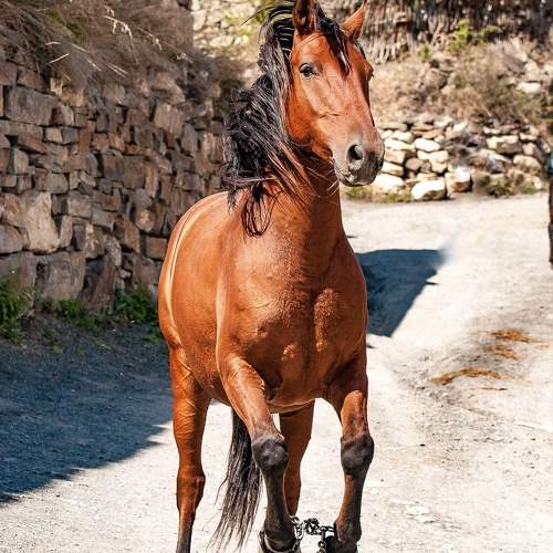 Photo #10418025