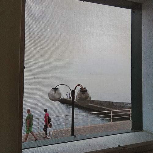 Photo #10418454