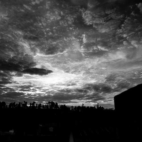 Photo #10418658