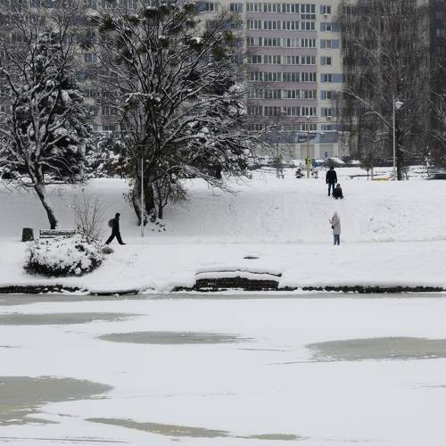 Photo #10418858