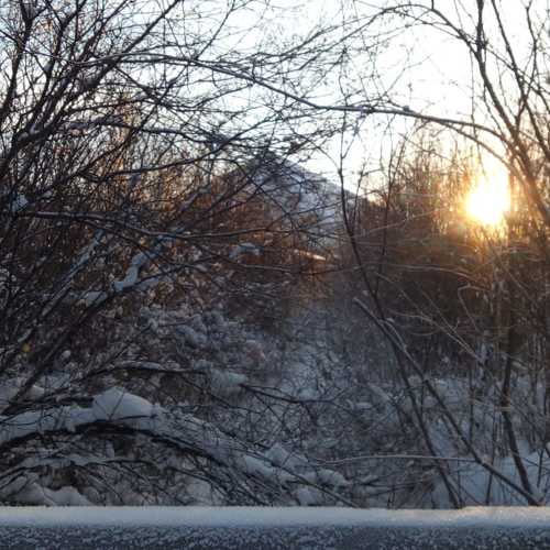 Photo #10418934