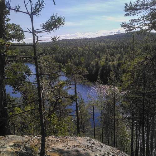 Photo #10419319