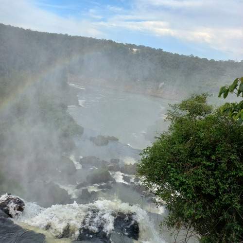 Photo #10419415