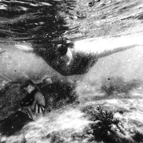 Photo #10419447
