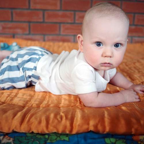 Photo #10419449