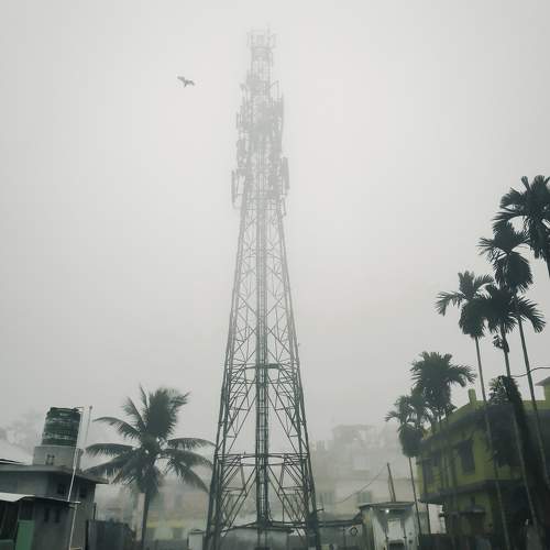 Photo #10419600