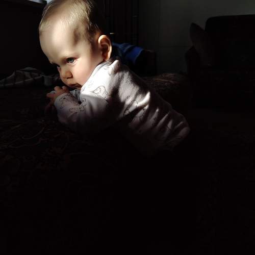 Photo #10419705
