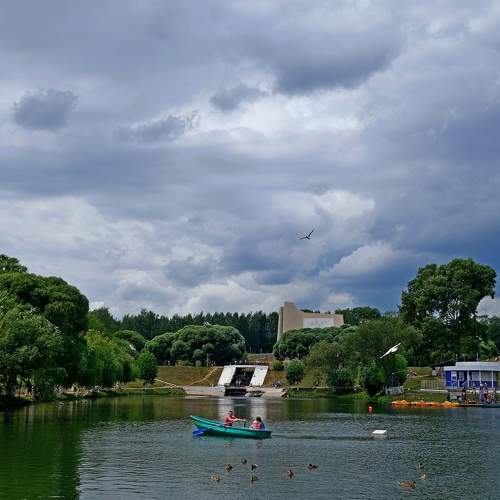 Photo #10419732