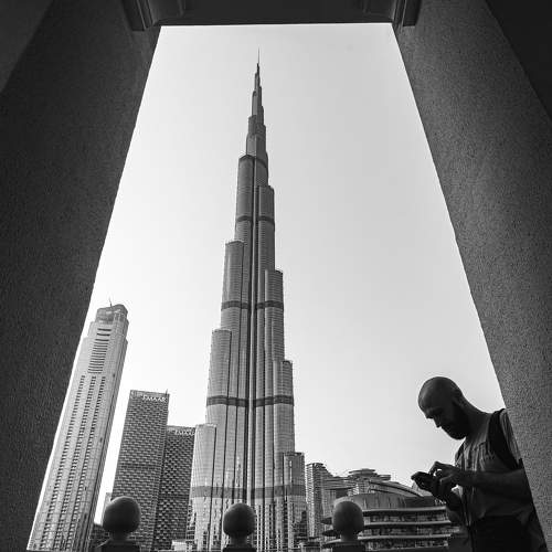 Фотография #10419871