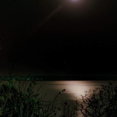 Photo #10420100