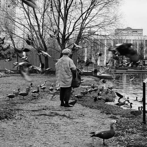 Photo #10420127
