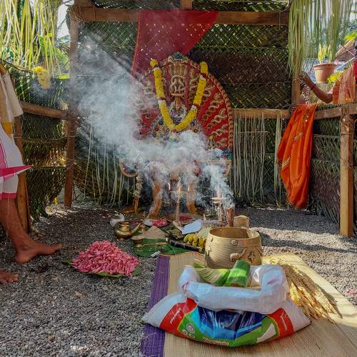 Photo #10420257
