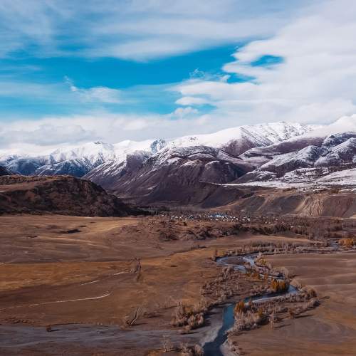 Photo #10420444