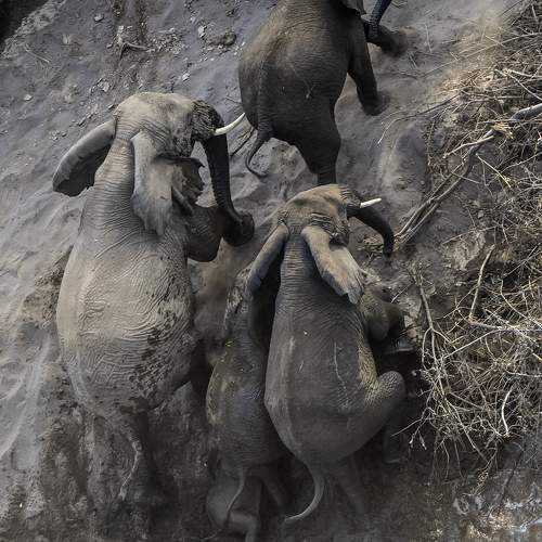 Фотография #10420529