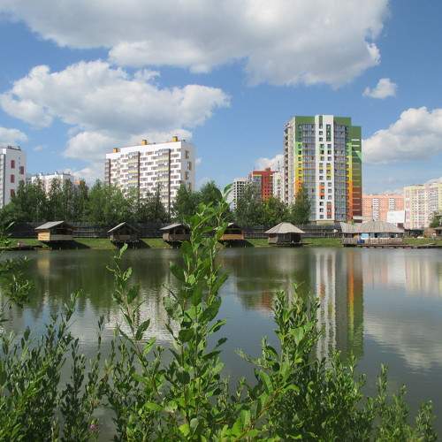 Photo #10420614