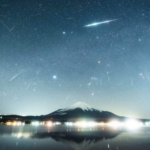 Photo #10420652
