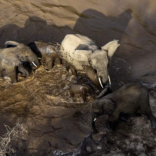 Фотография #10420729