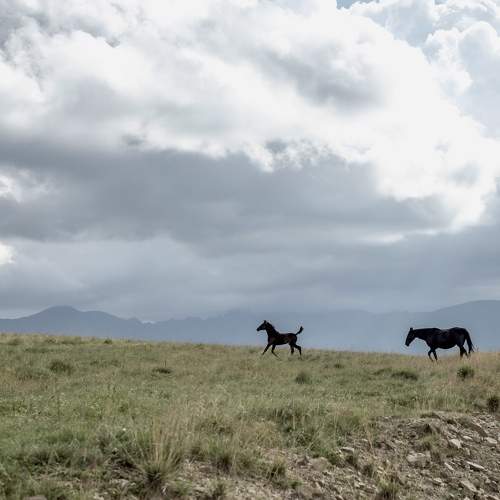 Photo #10420752