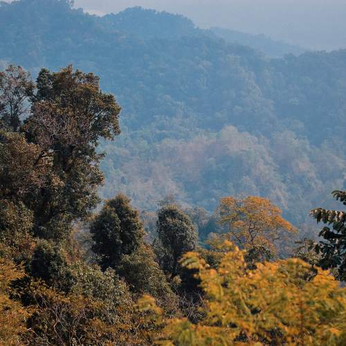 Photo #10420853