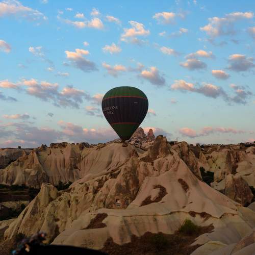 Photo #10421068