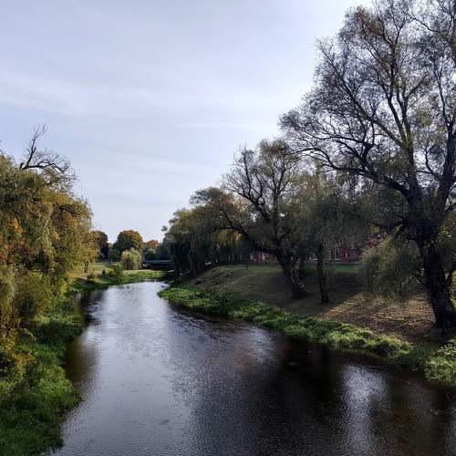 Photo #10421081
