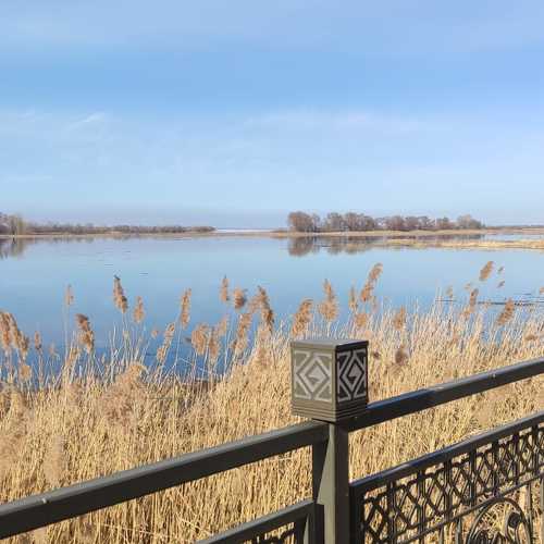 Photo #10421194
