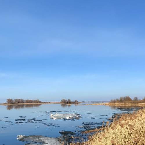 Photo #10421689