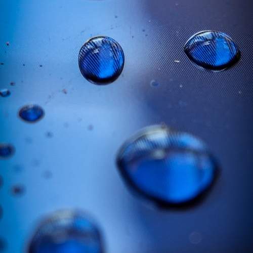 Photo #10421867