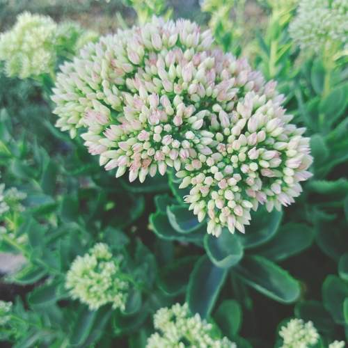 Photo #10422132
