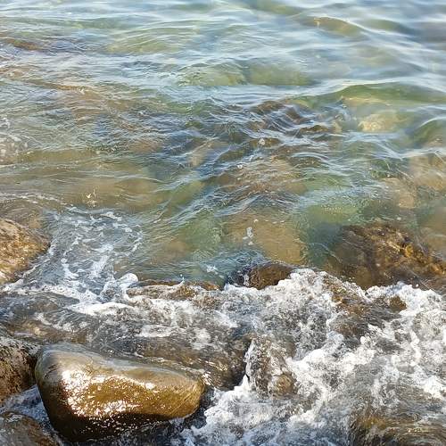 Photo #10422142