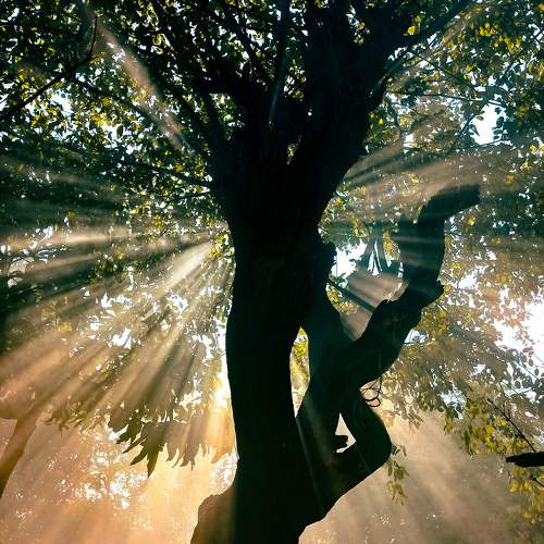 Beams of Light