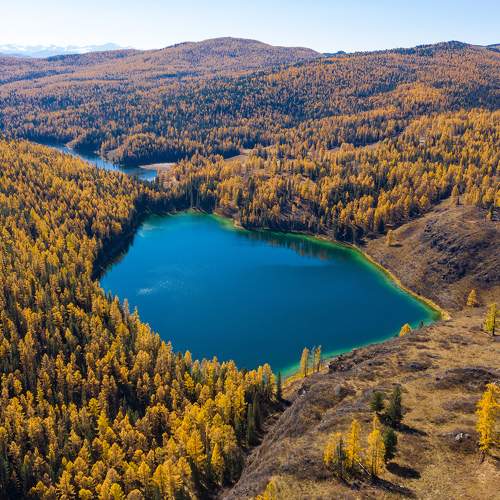 Фотография #10422232