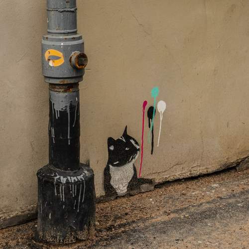 Фотография #10422314