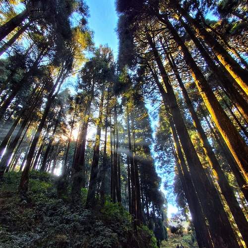 Photo #10422554