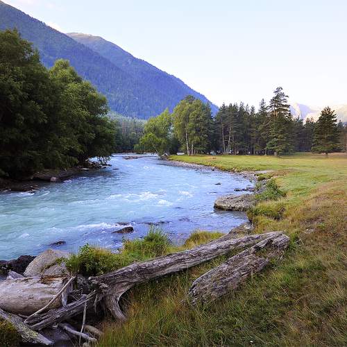 Photo #10422680